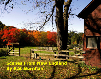 Scenes from New England