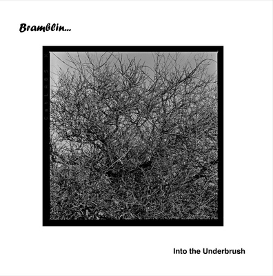 Bramblin