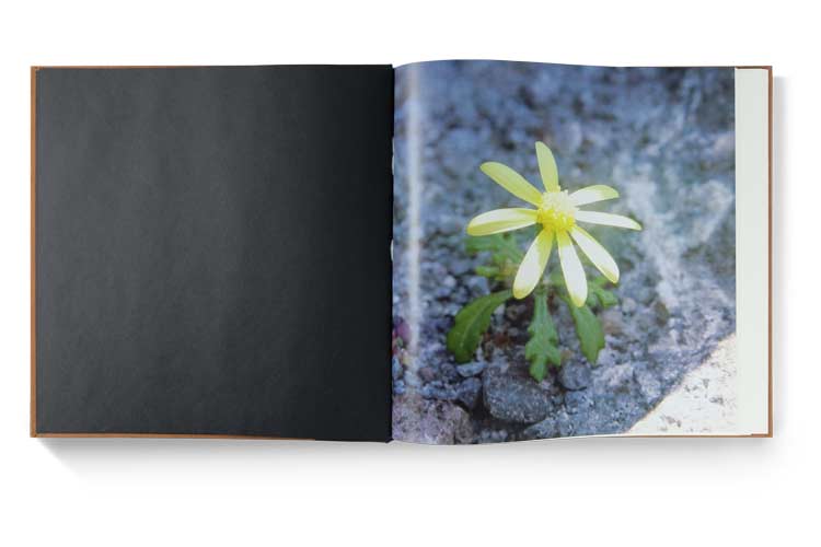 Embossed Hardcover Interior Page Thumbnail