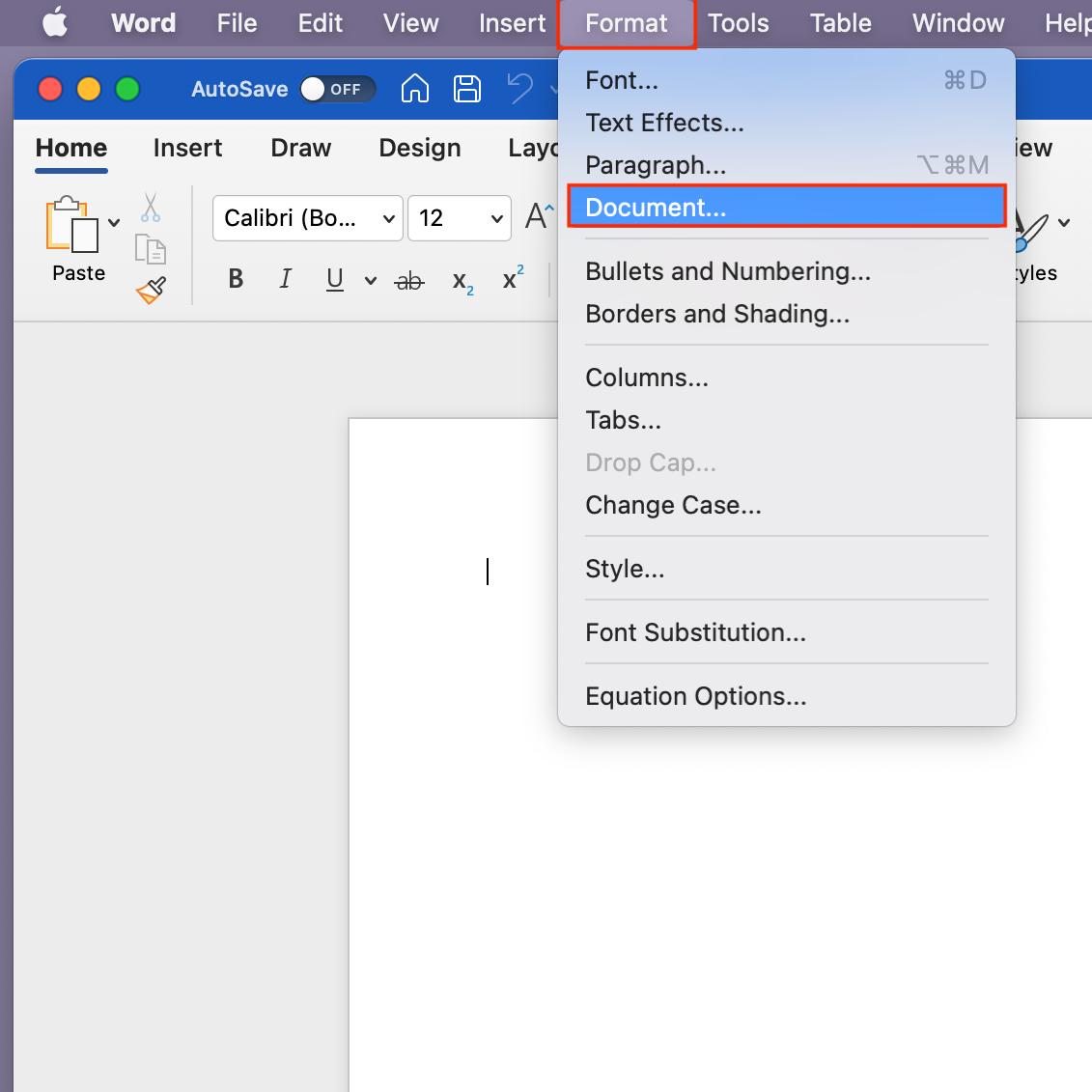 Microsoft Word Format Document
