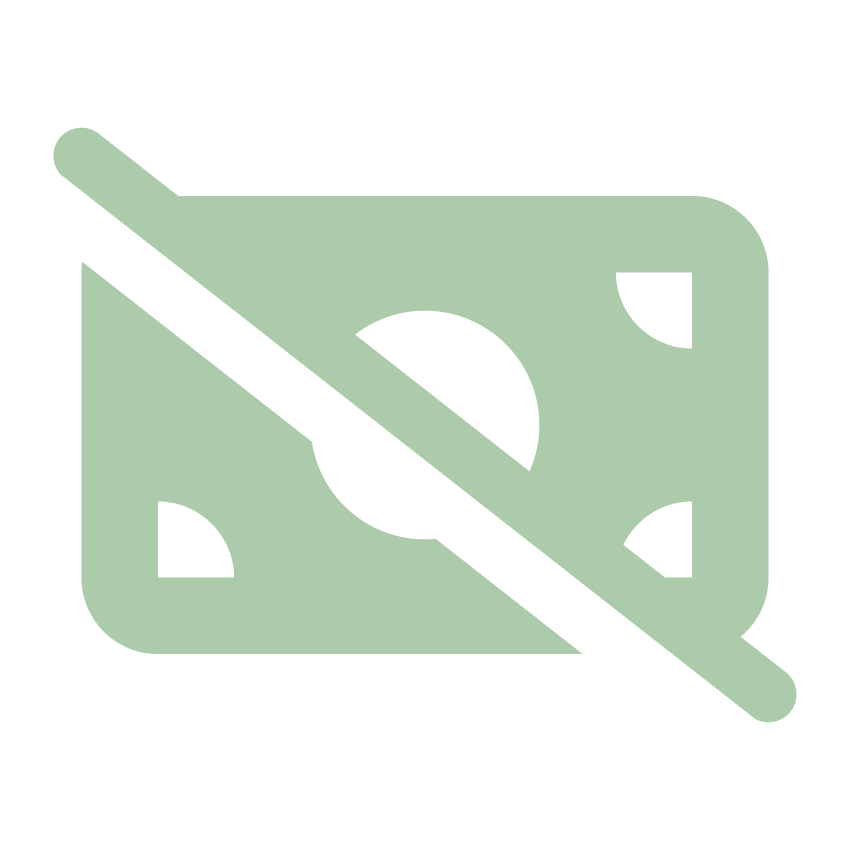 No Money Icon